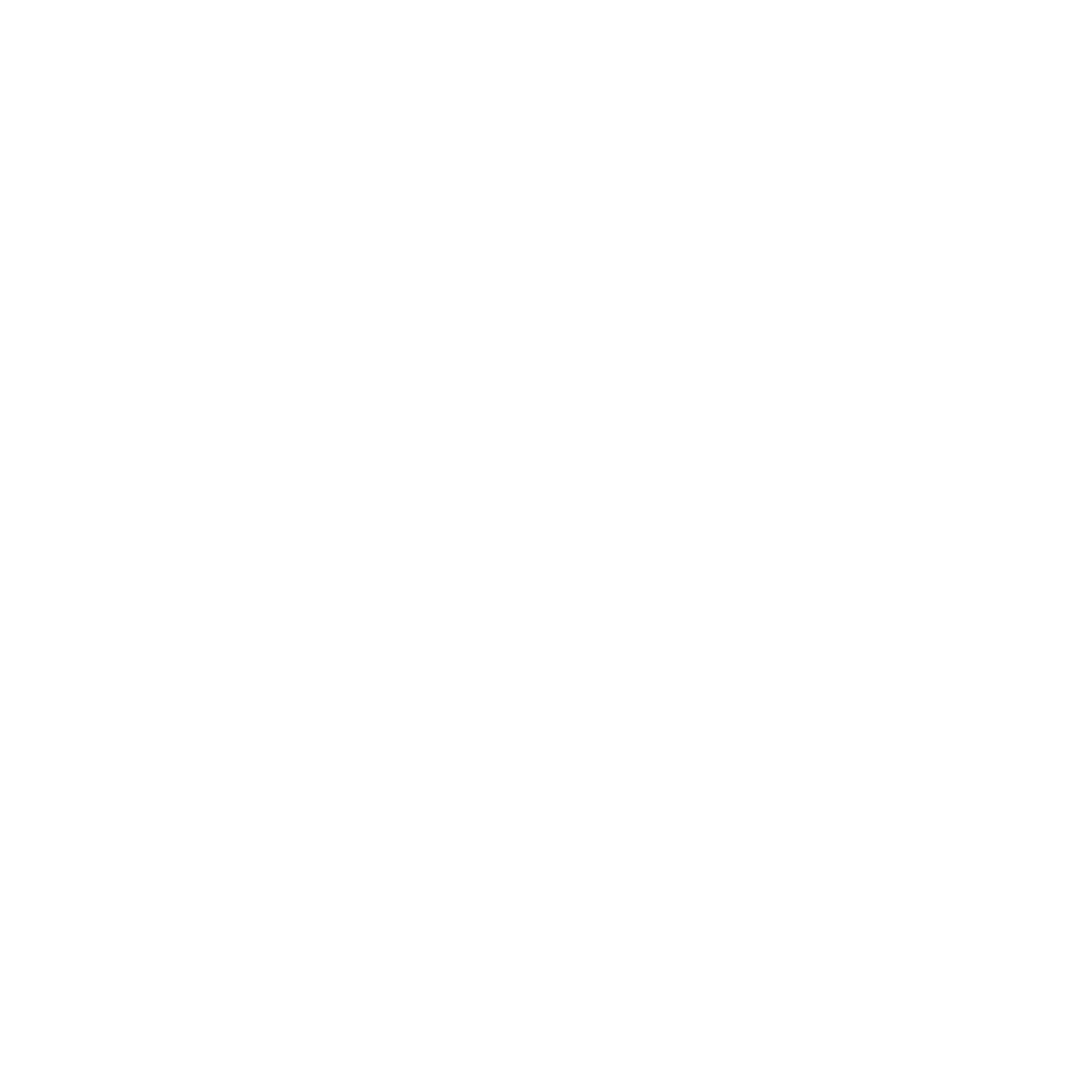 Bayu AI