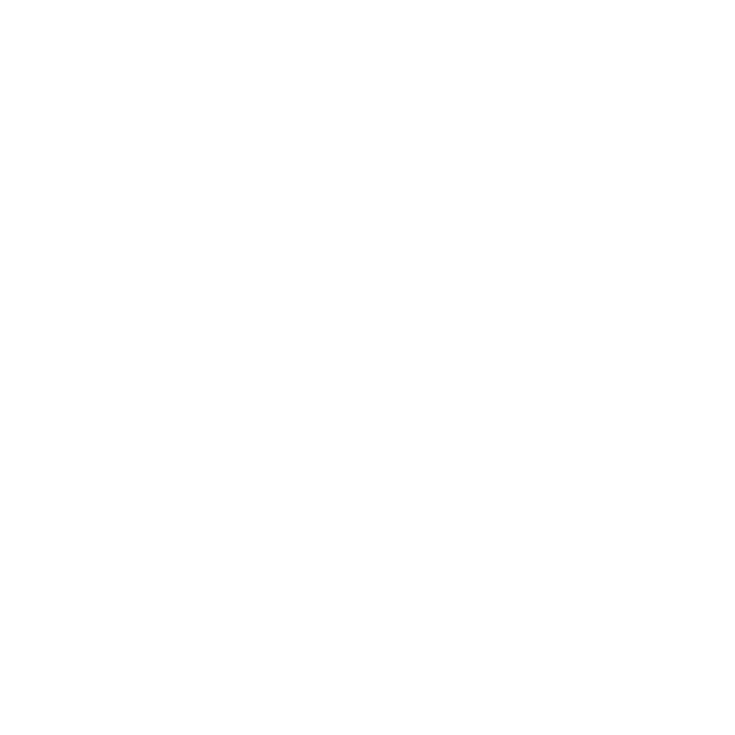 iZin Seminar